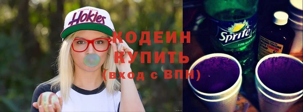 ECSTASY Бородино