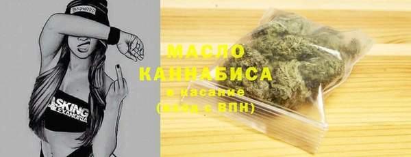 ECSTASY Бородино