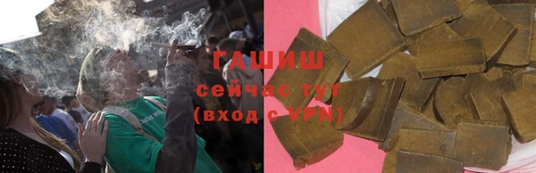 ECSTASY Бородино