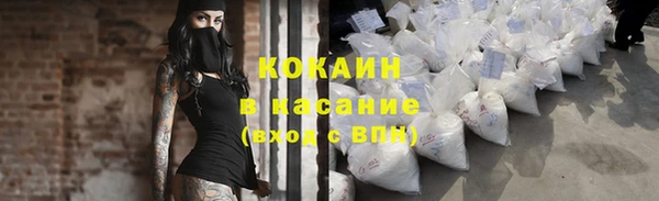 ECSTASY Бородино