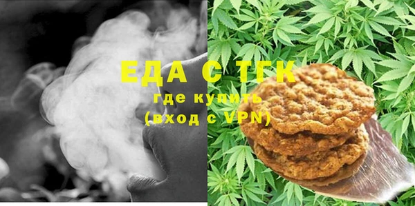 ECSTASY Бородино