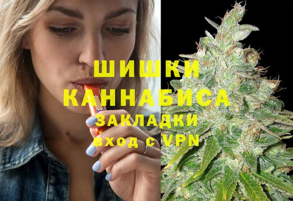 ECSTASY Бородино