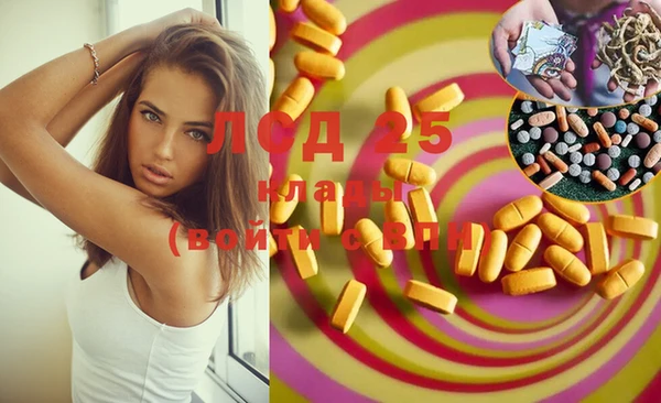 ECSTASY Бородино