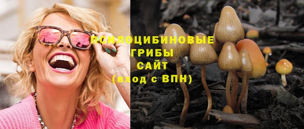 спиды Бугульма