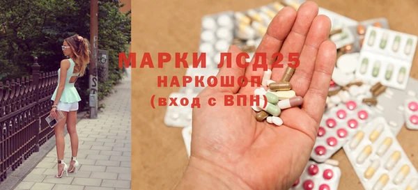 ECSTASY Бородино