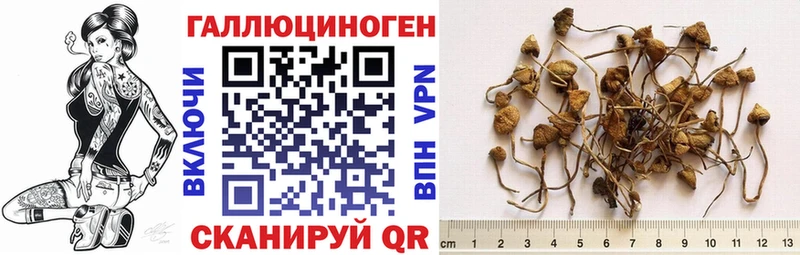 Псилоцибиновые грибы Magic Shrooms  Нолинск 
